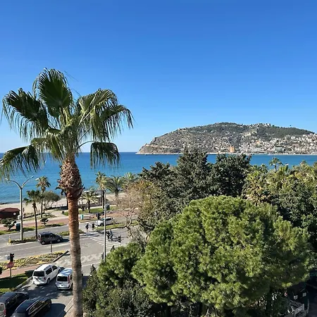 Rosella Αλάνια